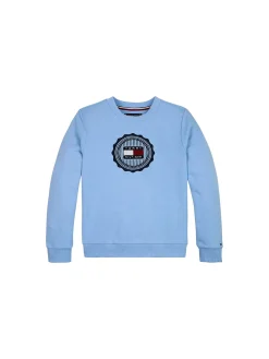 Felpa Kids girocollo logo frontale embroidery celeste