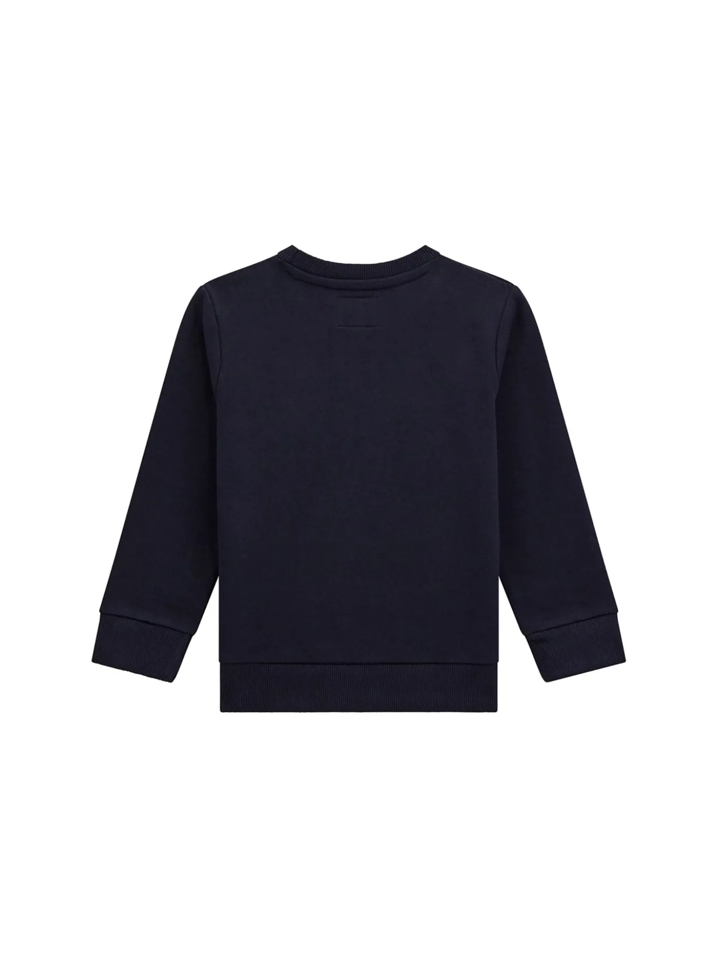 Felpa neonato con ricamo teddy blu