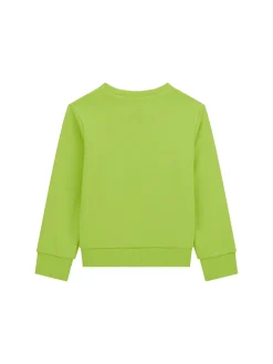 Felpa neonato stampa teddy California lime