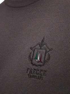 Maglione girocollo punto riso con logo ricamato Frecce Tricolori grigi