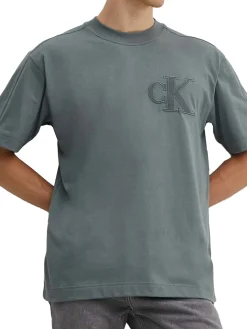 T-shirt a maniche corte con logo sul petto grigio